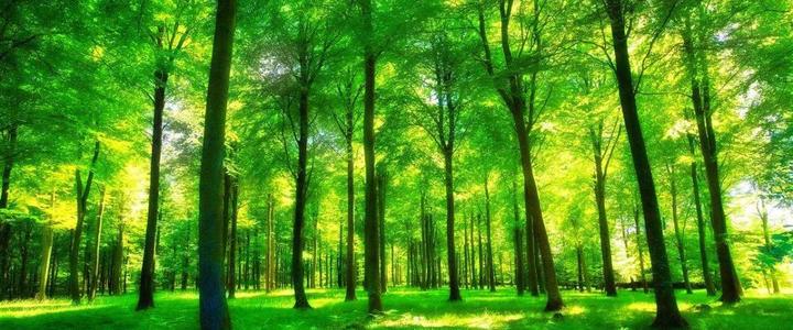 陜西將在生態環境領域集中開展十項專項整治